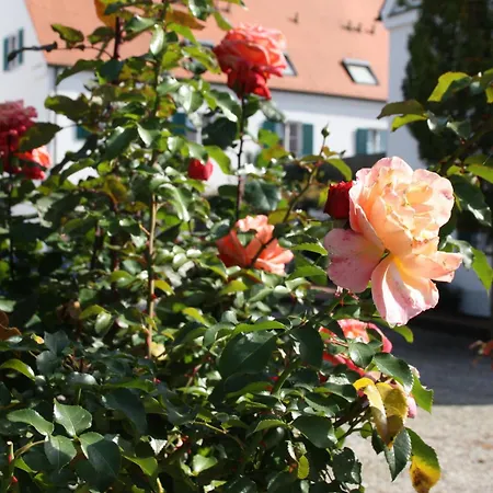 Wangerhof
