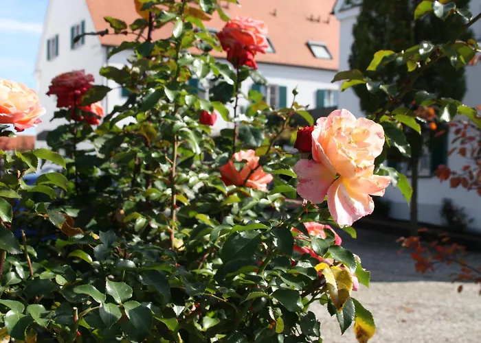 Wangerhof
