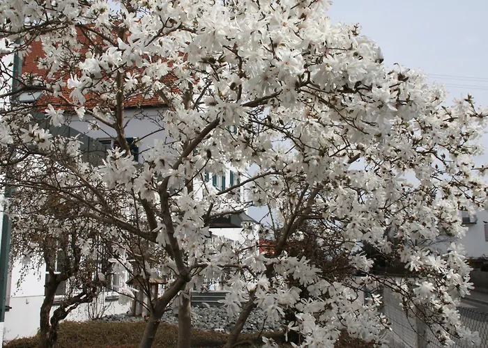 Wangerhof اوغسبورغ