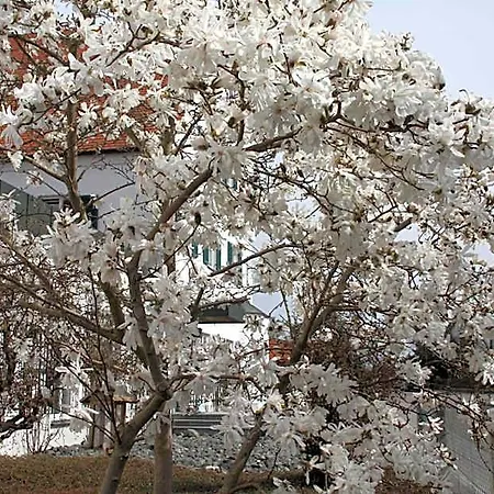 Wangerhof فندق 2*