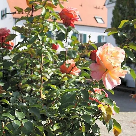 Wangerhof 아우크스부르크